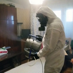 Дезинфекция от клопов в Белокурихе