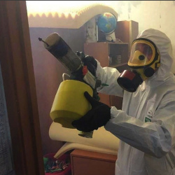 Уничтожение клопов в квартире. Белокуриха